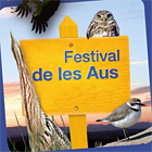 Festival d'Aus