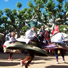 Sant Feliu de Pallerols, Festa dels cavallets