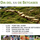 Setcases, dia del Xai