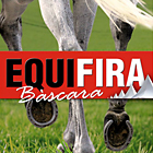 Equifira