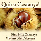 Maçanet de Cabrenys, Fira de la Castanya