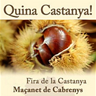 Maçanet de Cabrenys, Fira de la Castanya