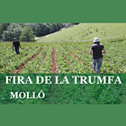 Molló, Fira de la Trumfa