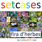 Fira de les Herbes