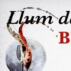 Llum de Lluna