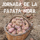 Olot, Jornada de la patata mora