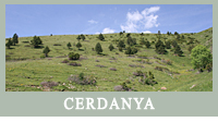 Cerdanya